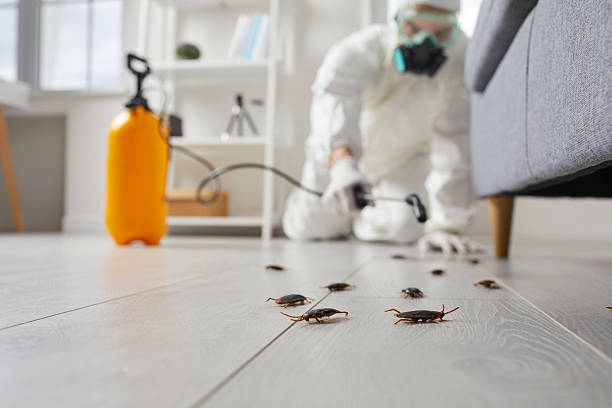 Commercial Kitchen Cockroach Control in Brookshire